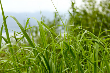 Similar image 1374440