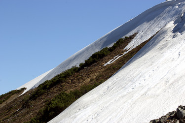 Similar image 1374442