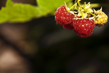 Similar image 1374611