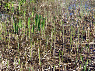 Similar image 1374836