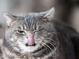 Similar image 1374876