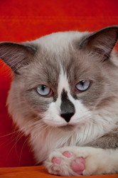 Similar image 1374949