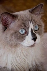 Similar image 1374950