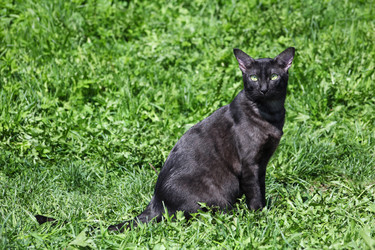 Similar image 1374983