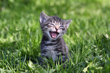 Similar image 1374986