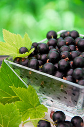 Similar image 1374990