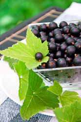 Similar image 1374992