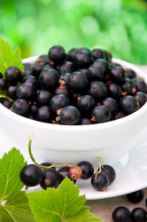 Similar image 1375001