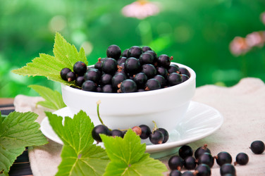 Similar image 1375002