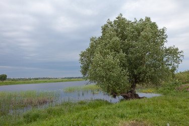 Similar image 1375013