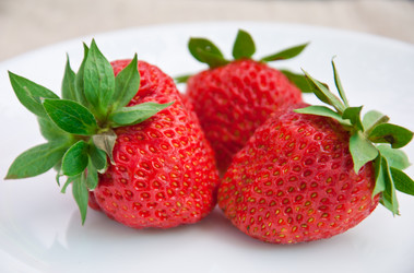 Similar image 1375021