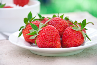 Similar image 1375022