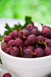 Similar image 1375024