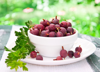 Similar image 1375025