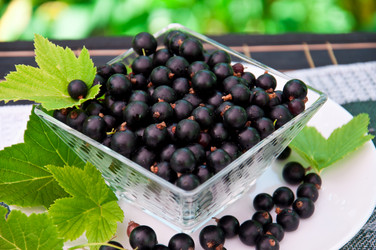 Similar image 1375028