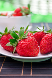 Similar image 1375039