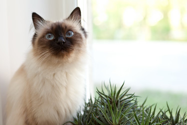 Similar image 1375055