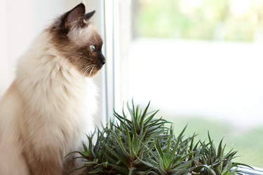 Similar image 1375056