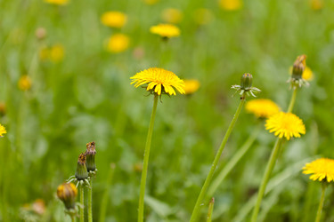 Similar image 1375058