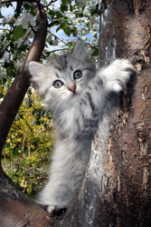 Similar image 1375069