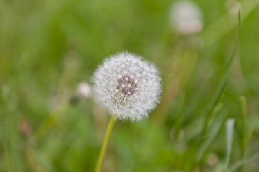 Similar image 1375072