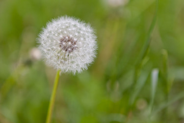 Similar image 1375073