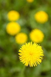 Similar image 1375086