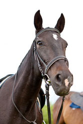 Similar image 1375094