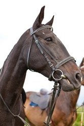 Similar image 1375095