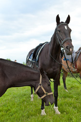 Similar image 1375096