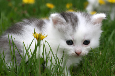 Similar image 1375099