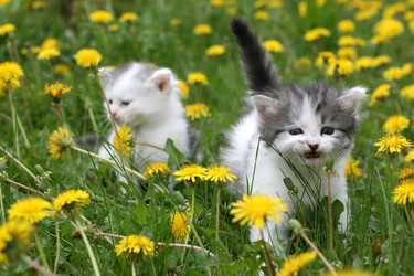 Similar image 1375106