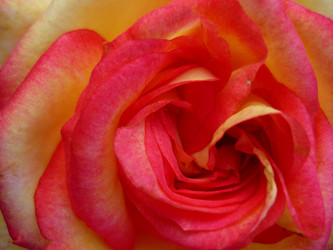 Similar image 1375130