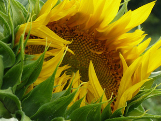 Similar image 1375132