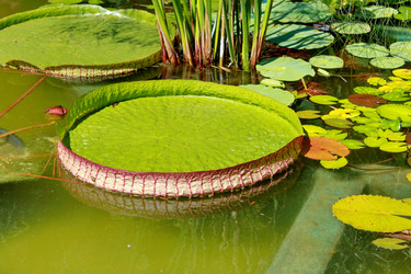 Similar image 1375134