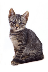 Similar image 1375160