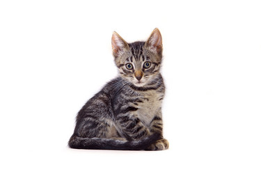 Similar image 1375161