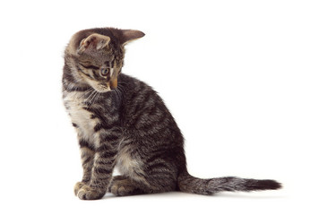 Similar image 1375162