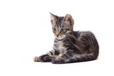 Similar image 1375163