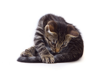 Similar image 1375164