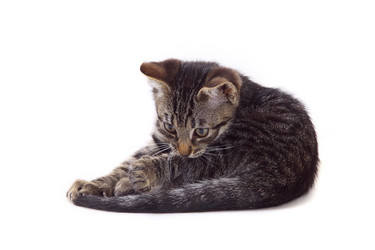 Similar image 1375165