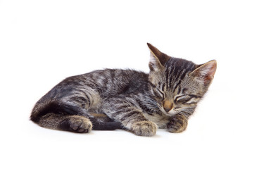 Similar image 1375166