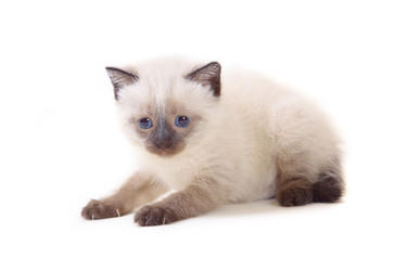 Similar image 1375168