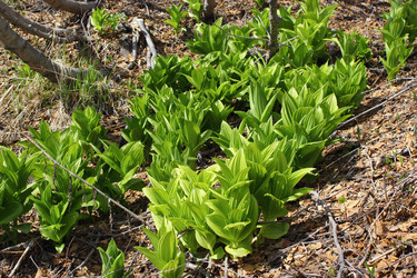 Similar image 1375177