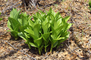 Similar image 1375178