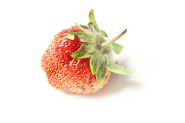 Similar image 1375234