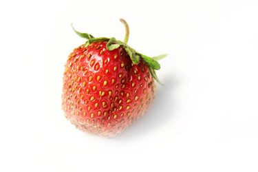 Similar image 1375235