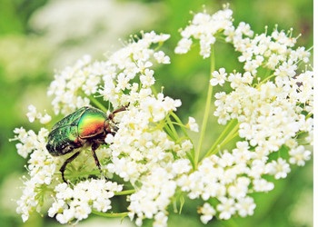 Similar image 1375256