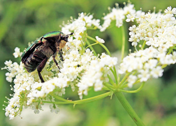 Similar image 1375257