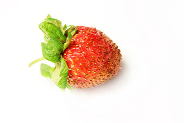 Similar image 1375300